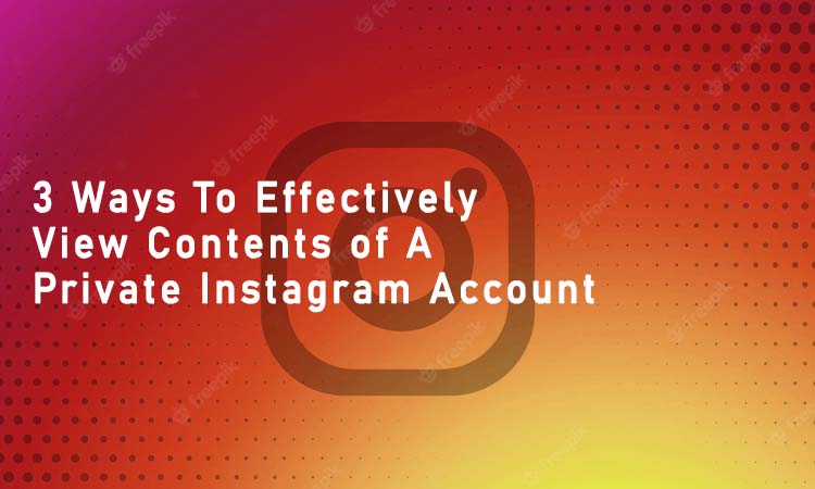 3 Ways To Effectively View Contents of A Private Instagram Account