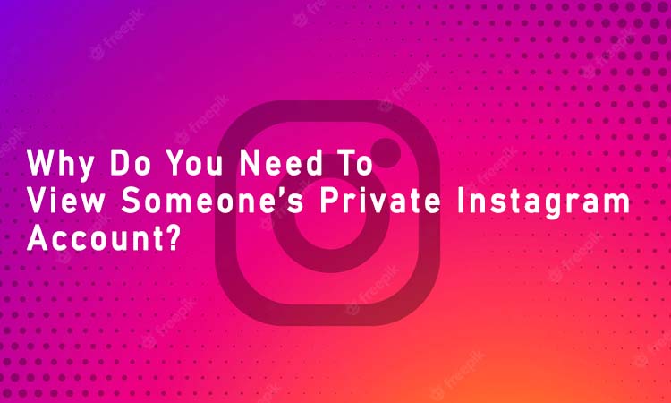 Why Do You Need To View Someone’s Private Instagram Account?